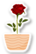 屏幕截图 2025-04-21 091802.png